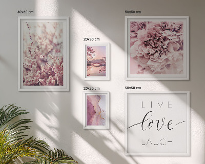 Set 5 slik v okvirju Cvetlični motivi, pastelni slogani