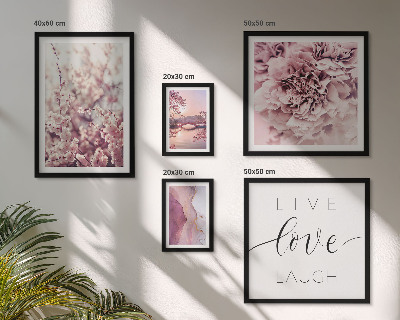 Set 5 slik v okvirju Cvetlični motivi, pastelni slogani