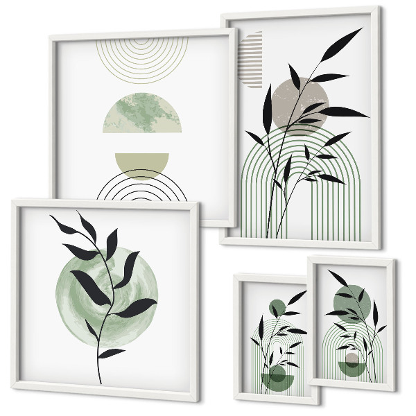 Set 5 slik v okvirju Elegantna grafika rastlin