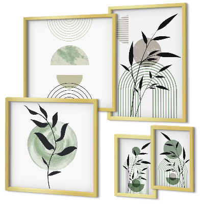 Set 5 slik v okvirju Elegantna grafika rastlin