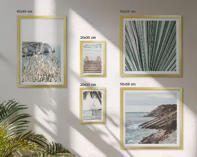 Tropi obmorskih plaž poliptih v okvirju