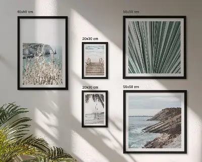Tropi obmorskih plaž poliptih v okvirju