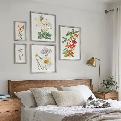 Cvetlične botanične ilustracije komplet ujemajočih se slik