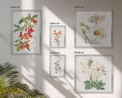 Komplet ujemajočih se slik Cvetlične botanične ilustracije
