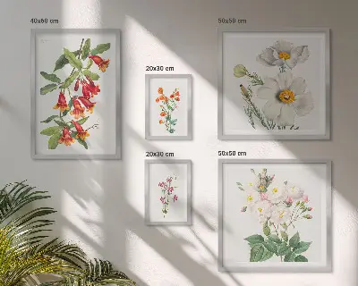 Cvetlične botanične ilustracije komplet ujemajočih se slik