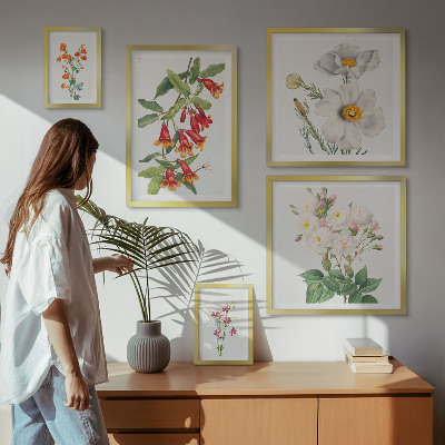 Komplet ujemajočih se slik Cvetlične botanične ilustracije
