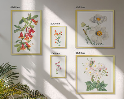 Komplet ujemajočih se slik Cvetlične botanične ilustracije