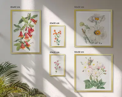Cvetlične botanične ilustracije komplet ujemajočih se slik