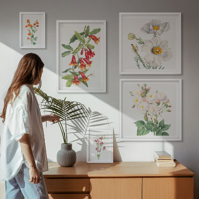Komplet ujemajočih se slik Cvetlične botanične ilustracije