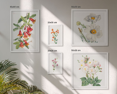 Komplet ujemajočih se slik Cvetlične botanične ilustracije