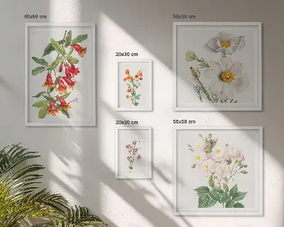 Cvetlične botanične ilustracije komplet ujemajočih se slik