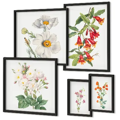 Cvetlične botanične ilustracije komplet ujemajočih se slik