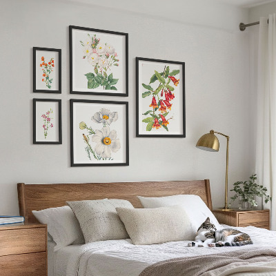 Komplet ujemajočih se slik Cvetlične botanične ilustracije