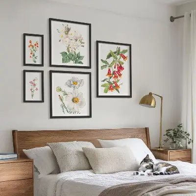 Cvetlične botanične ilustracije komplet ujemajočih se slik