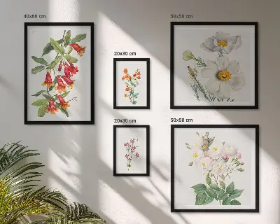 Cvetlične botanične ilustracije komplet ujemajočih se slik