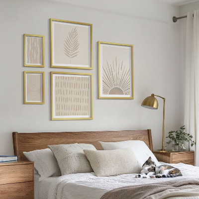 Set 5 slik v okvirju Elegantni okraski narava geometrija