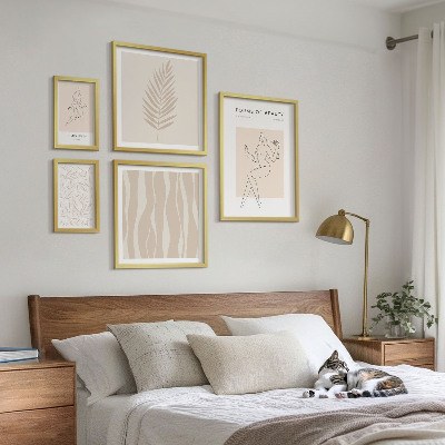 Set 5 slik v okvirju Elegantna grafika žensk in rastlin