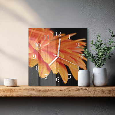 Kvadratna ura Gerbera