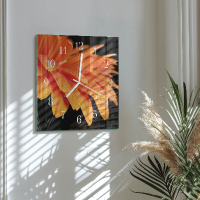 Kvadratna ura Gerbera