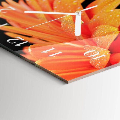 Kvadratna ura Gerbera