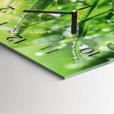 Kvadratna stenska ura Rosa