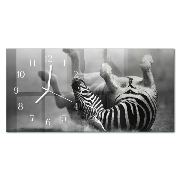 Pravokotna ura Afriška zebra