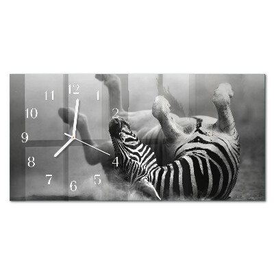 Pravokotna ura Afriška zebra